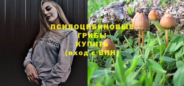 бошки Бородино