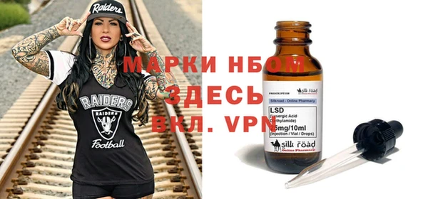 бошки Бородино