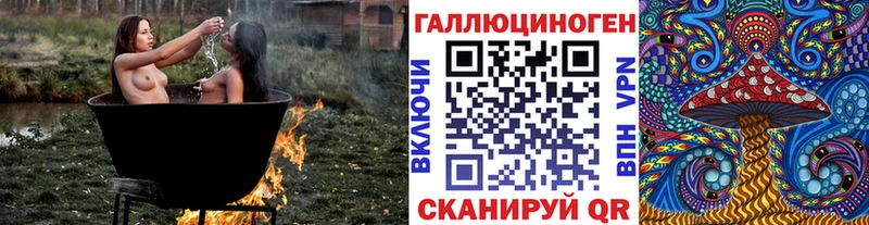 что такое   Мытищи  Псилоцибиновые грибы Psilocybine cubensis 